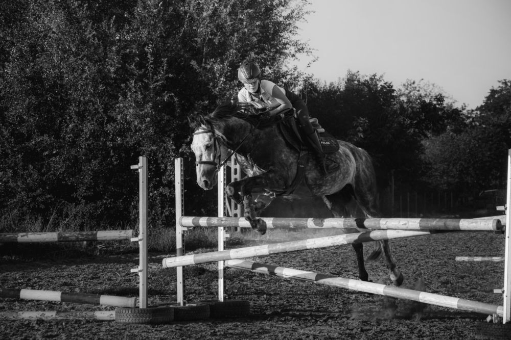 Фотография автора Veronika Biró