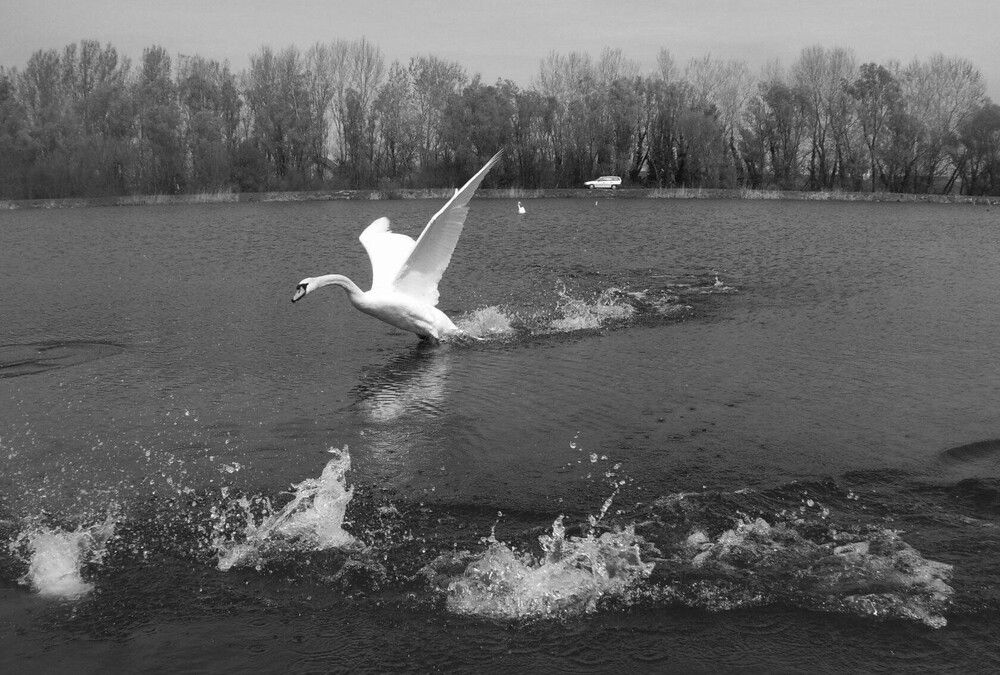 Фотография автора Любовь Войводич