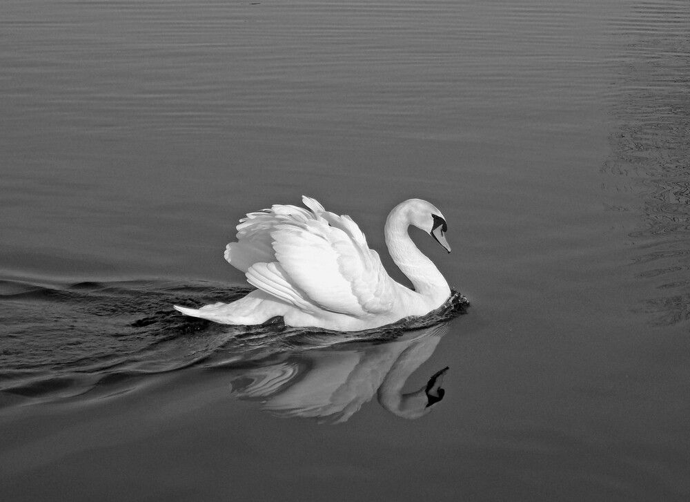 Фотография автора Любовь Войводич