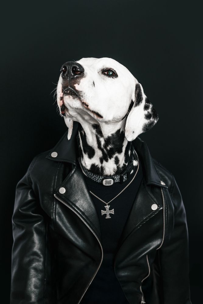 Photograph by Татьяна Драгунова