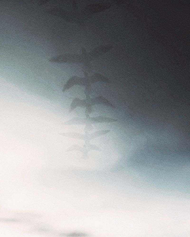 Photograph by Евгения Никишина