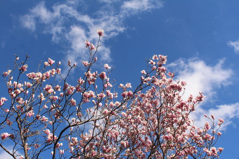 Фотография автора Любовь Войводич