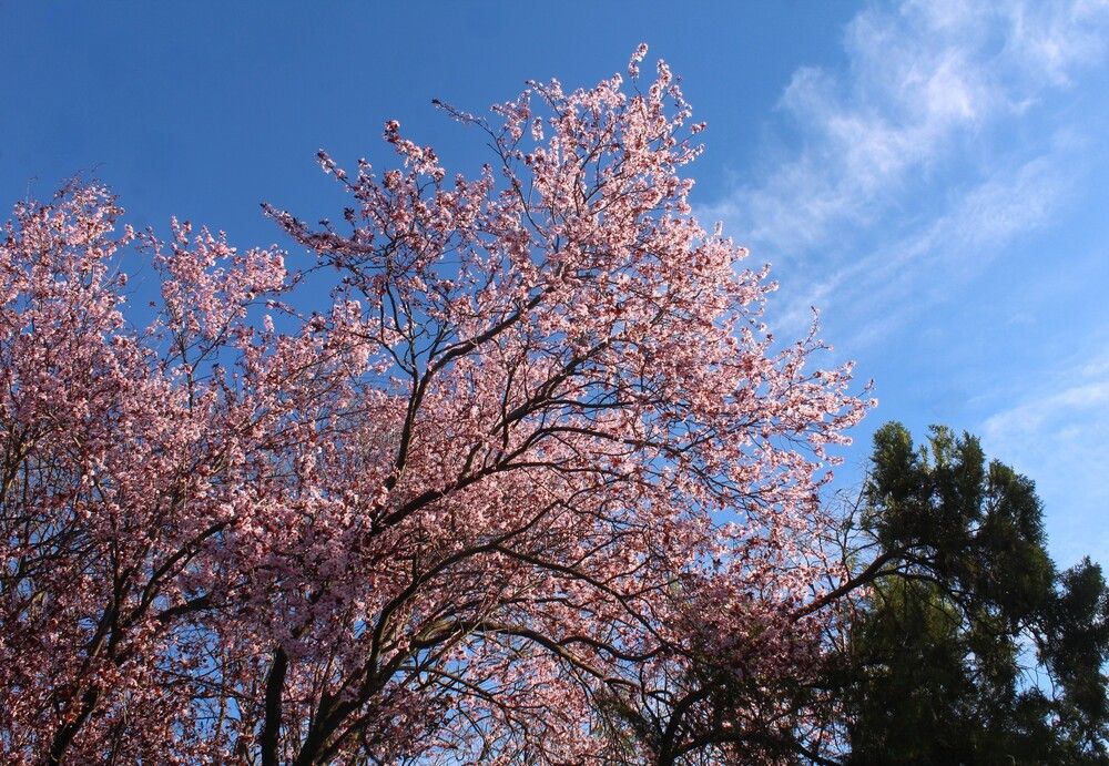 Фотография автора Любовь Войводич