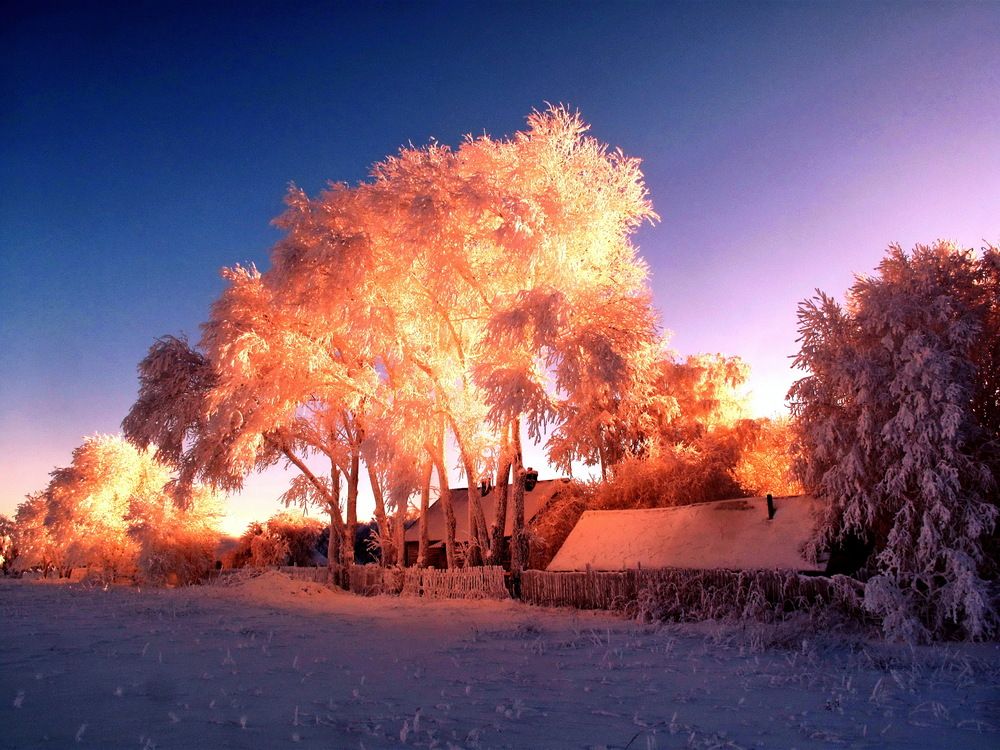 Photograph by Александр Лазебник