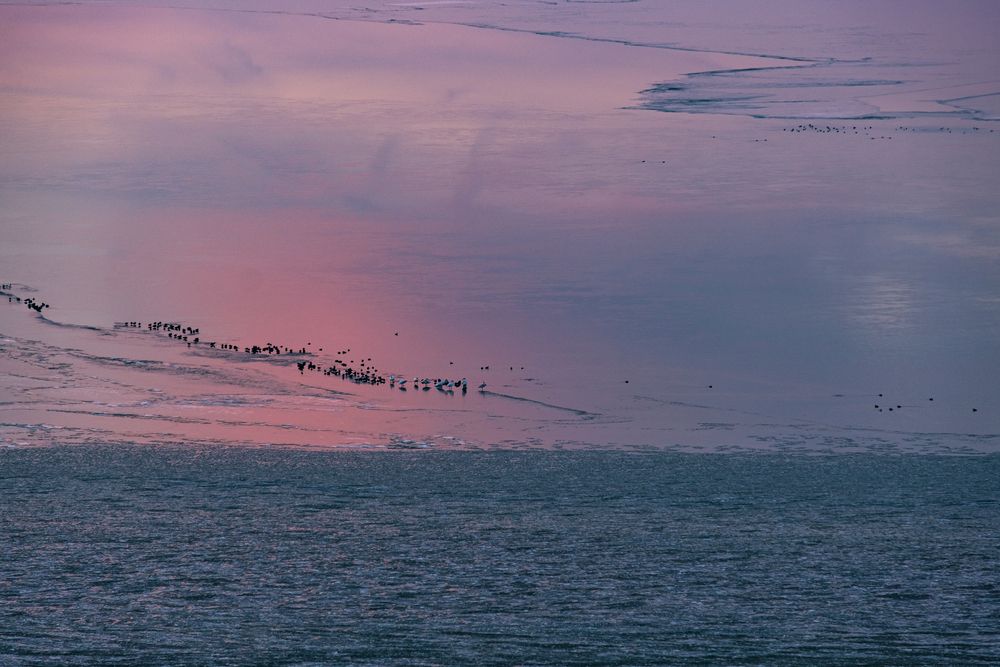 Фотография автора Veronika Biró