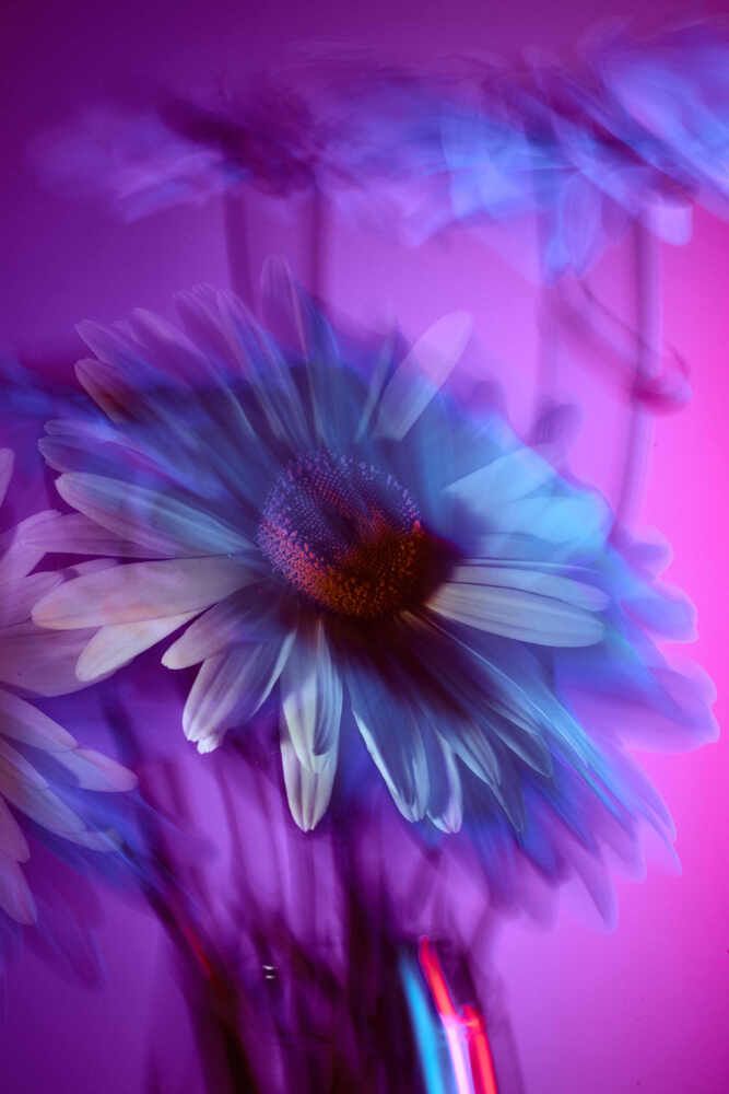 Photograph by Виктор Жулин