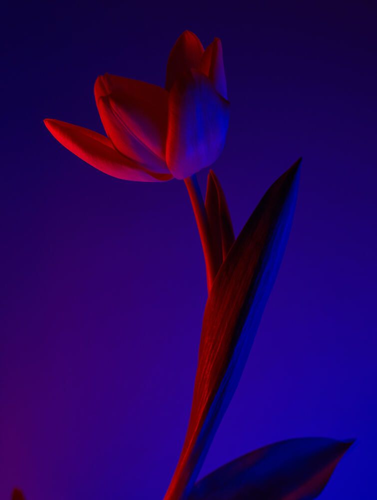 Photograph by Виктор Жулин