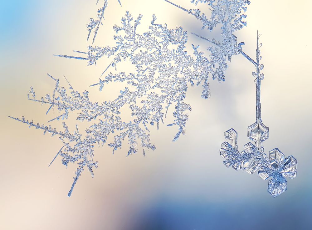 Photograph by Наталья Соколова