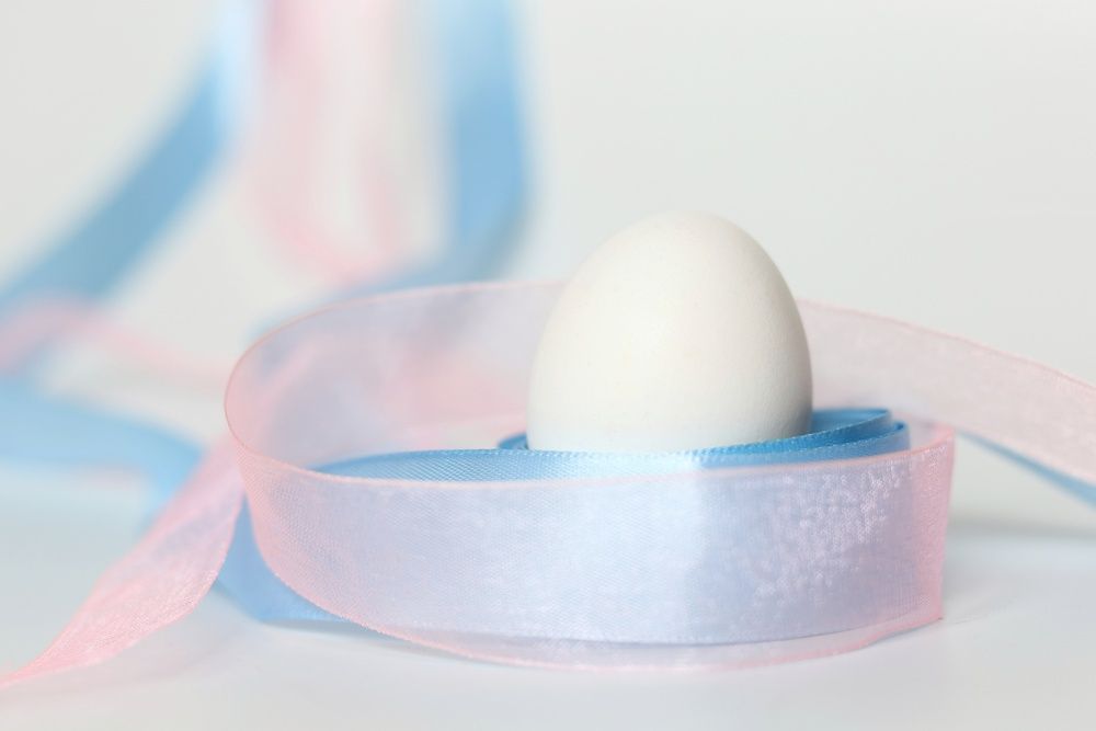 Фотография автора Екатерина Першина