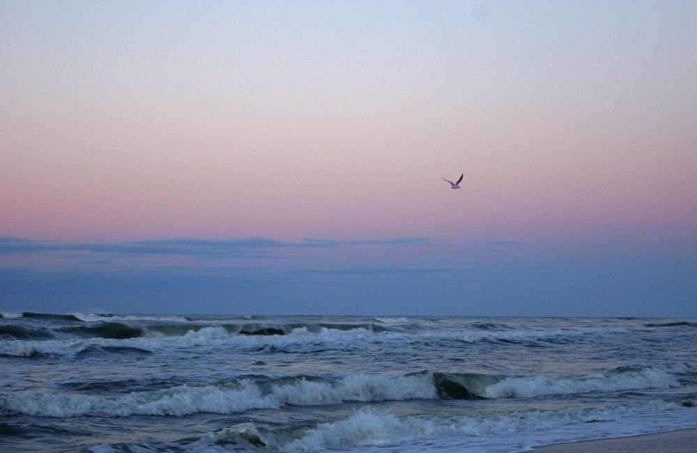 Фотография автора Алла Бойко