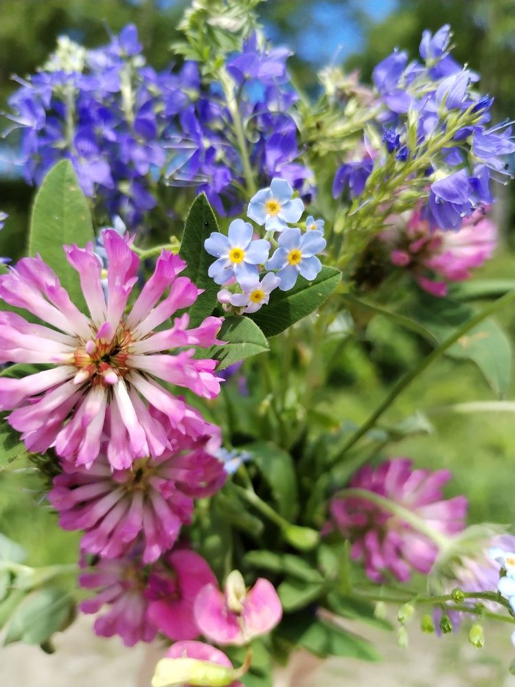 Фотография автора Юлия Финогенова