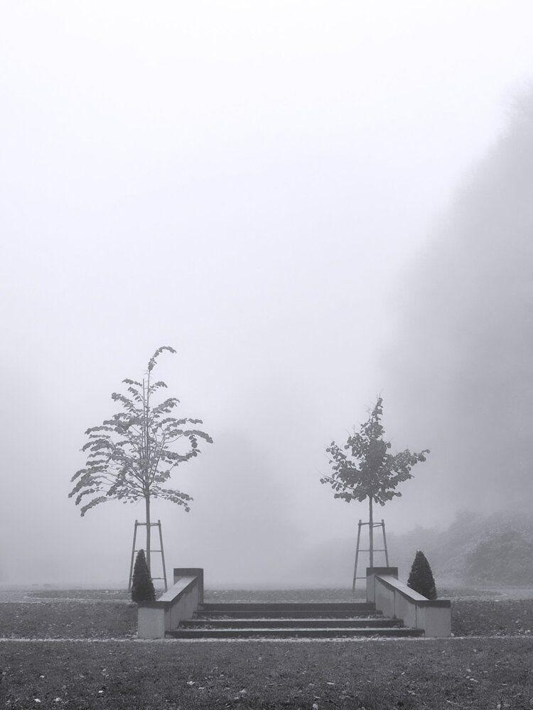 Photograph by Cozma Mihaela