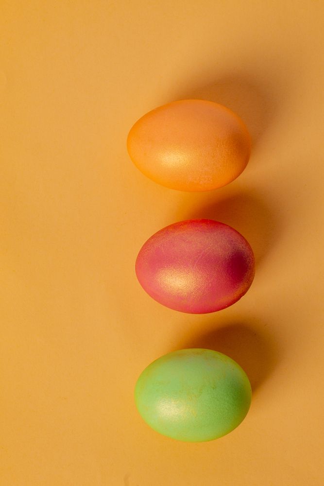 Фотография автора Darina