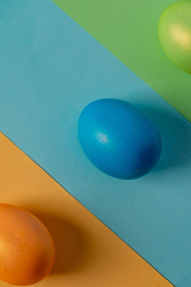 Фотография автора Darina