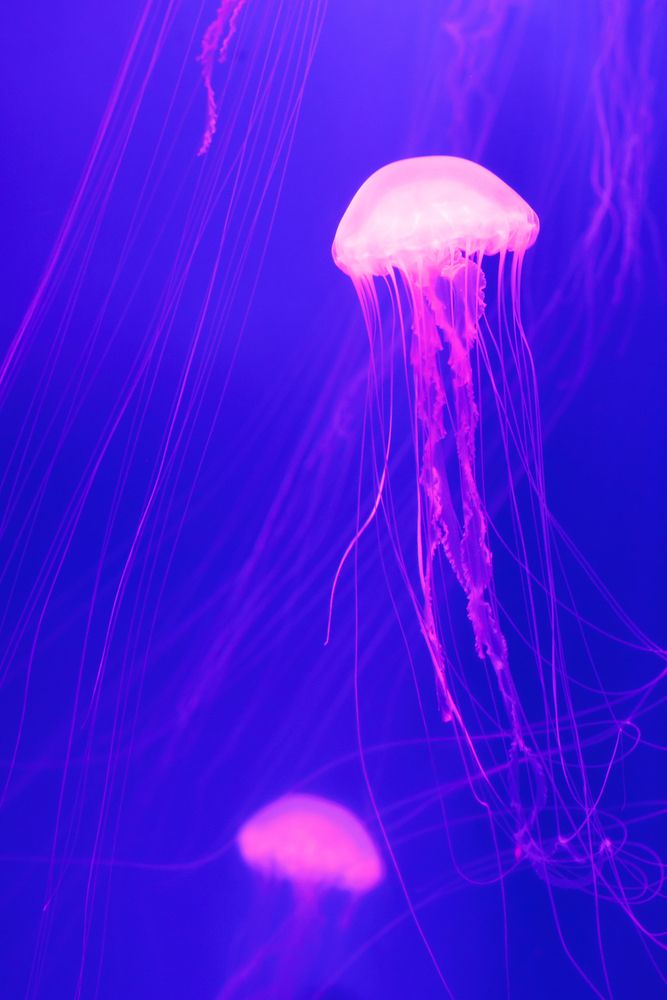 Фотография автора Сергей Епифанов