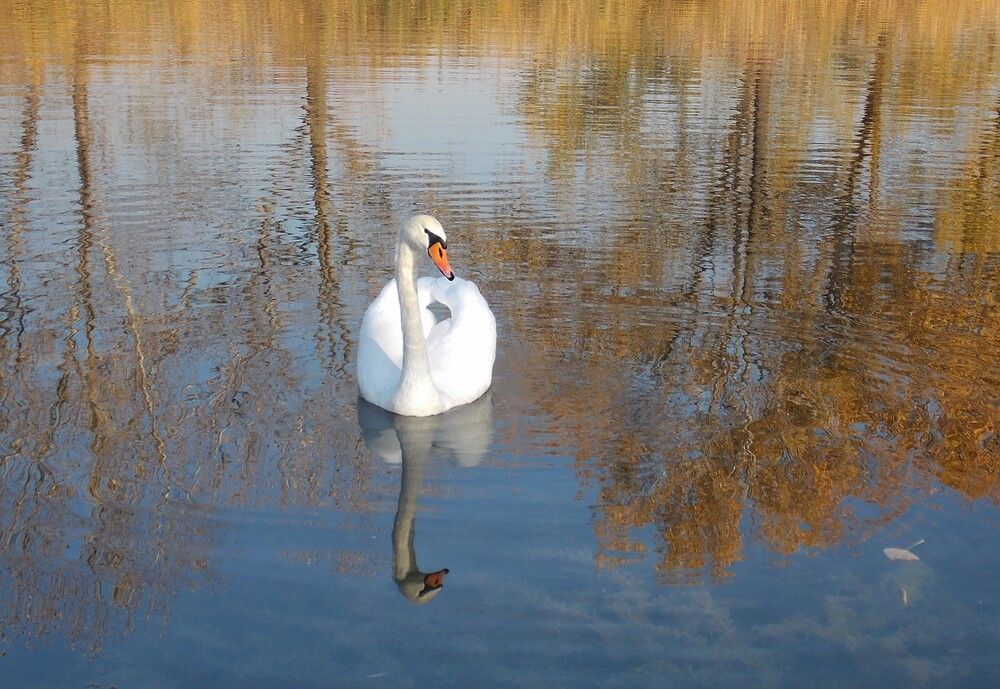 Фотография автора Любовь Войводич