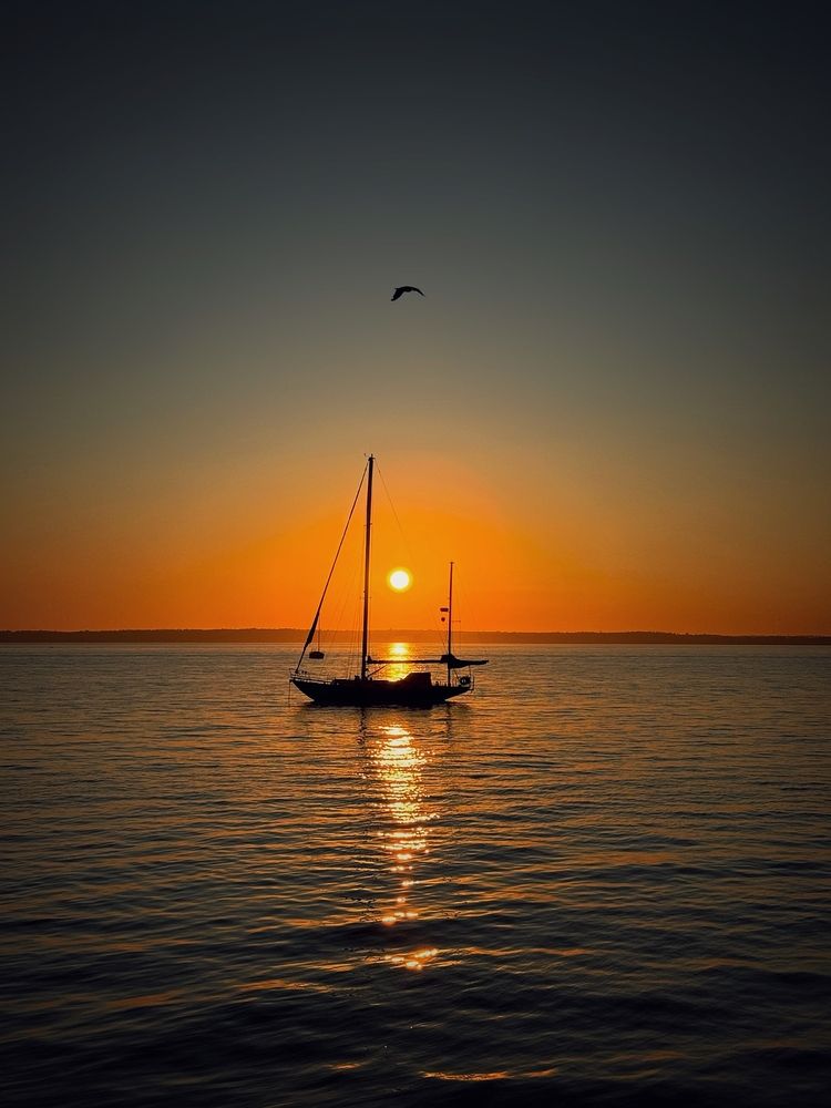 Photograph by Юлия Порфирьева