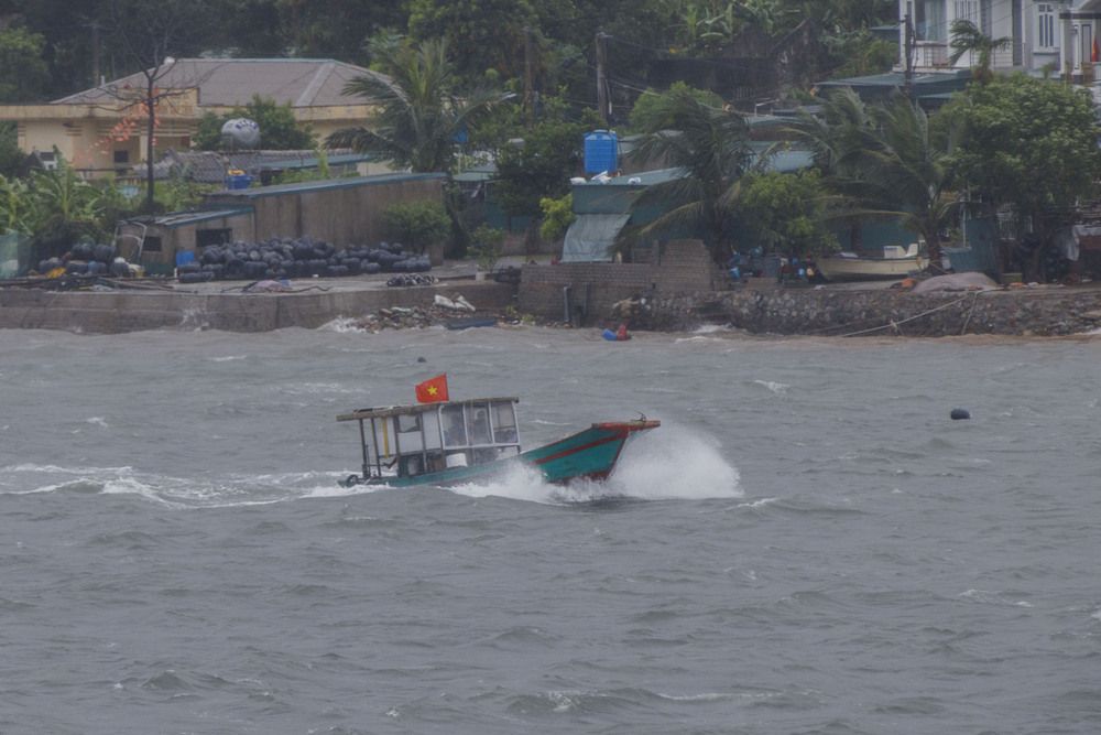 Фотография автора Dung Ho