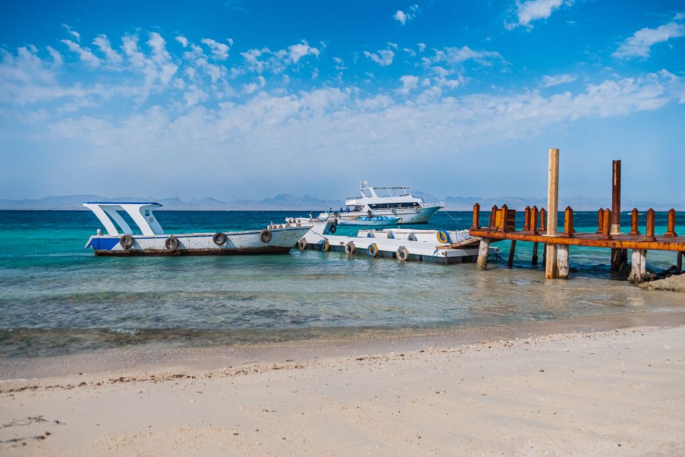 Фотография автора Veronika Biró