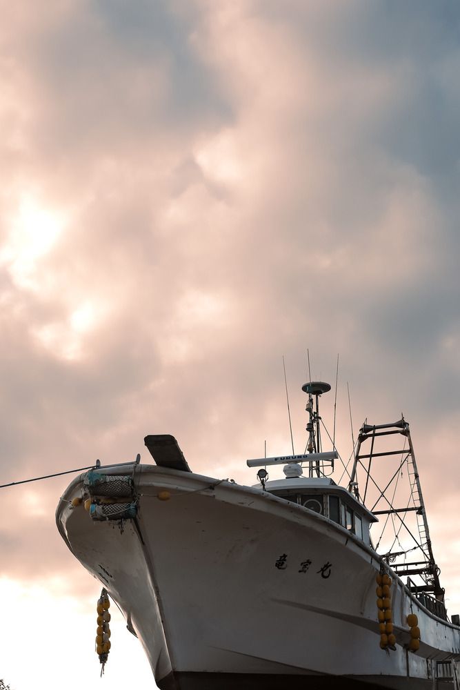 Photograph by Bùi Nguyễn