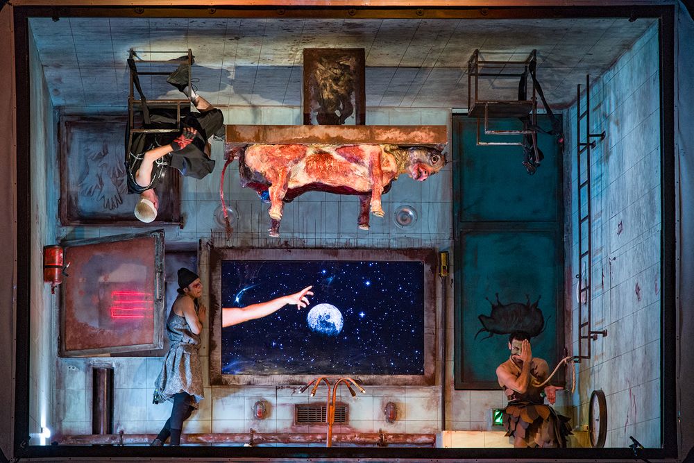 Photograph by amirhossein lolaei