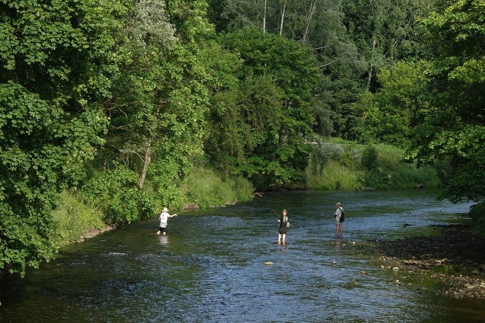 Photograph by jelena konickaja