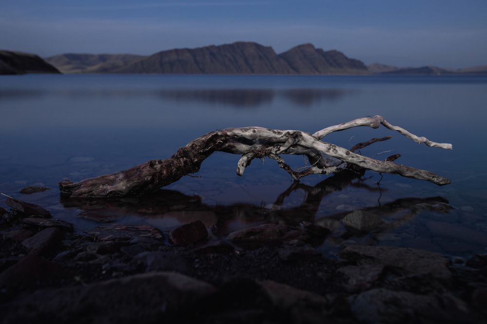 Photograph by Анна Рыжкова