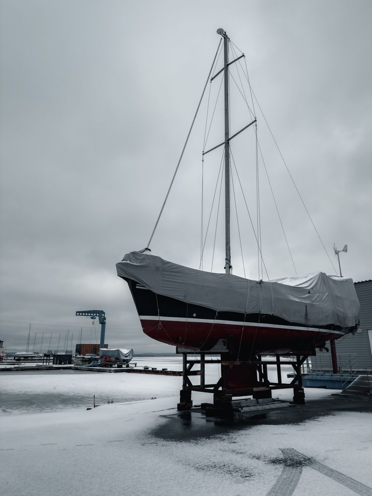 Фотография автора Константин Шипицын