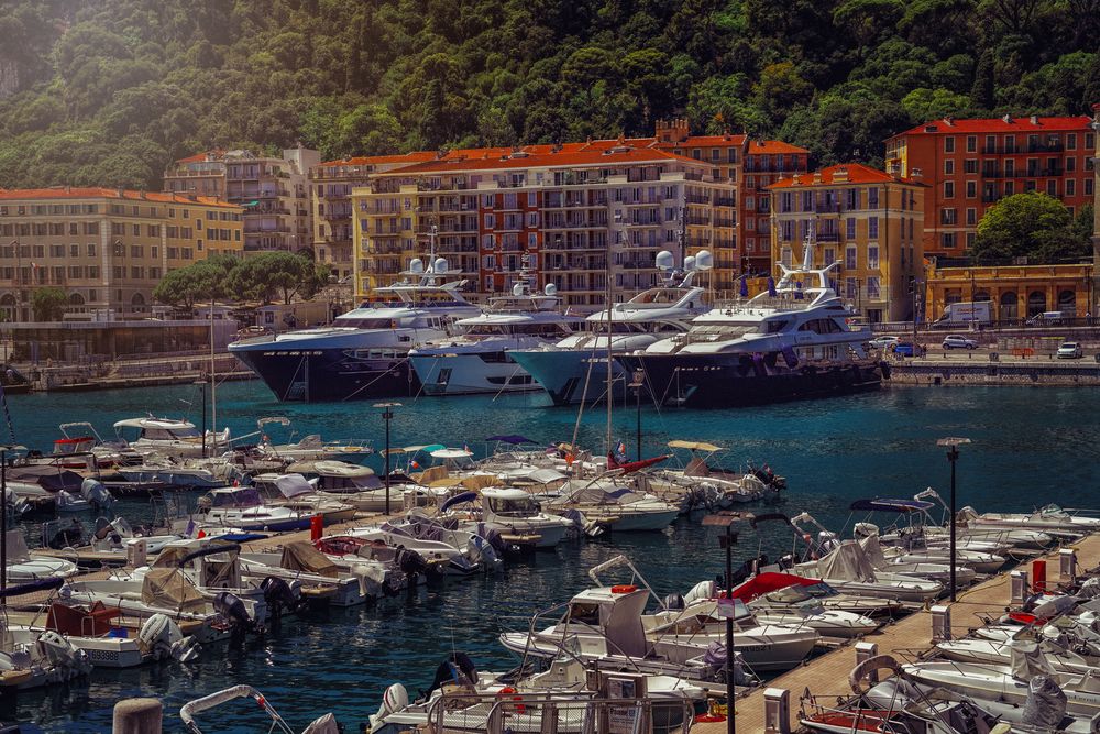 Фотография автора Елена Суворова