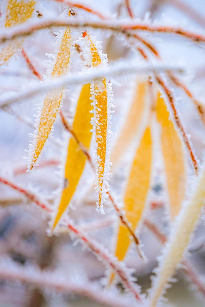 Photograph by Сергей Забиякин