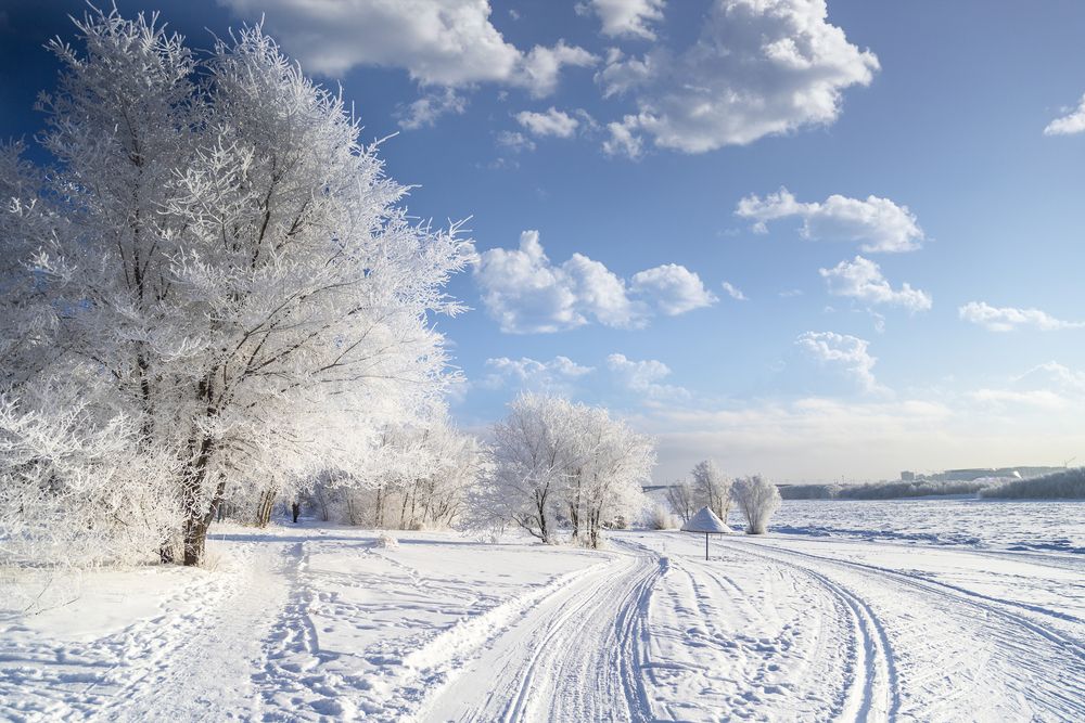 Фотограф среди возможностей