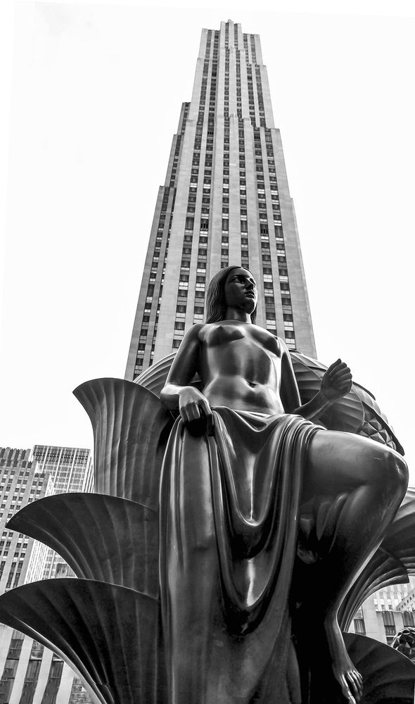 Фотография автора Владимир Баулин