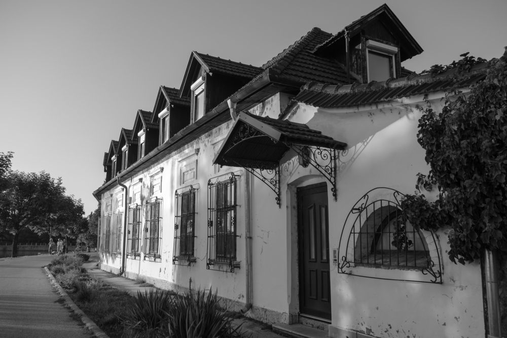 Photograph by Veronika Biró