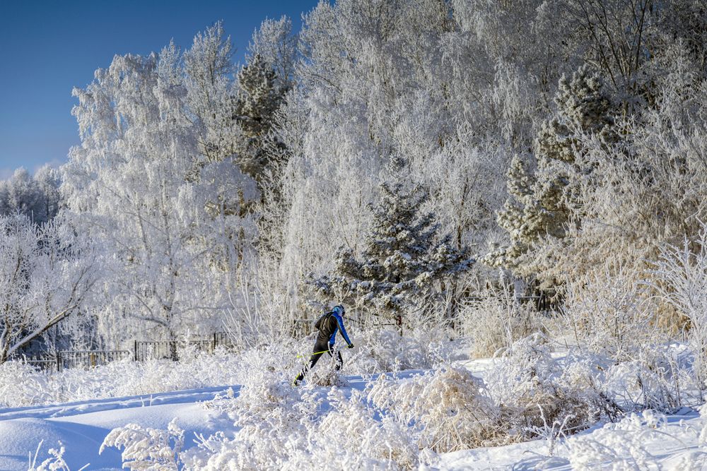 Сказочная лыжня