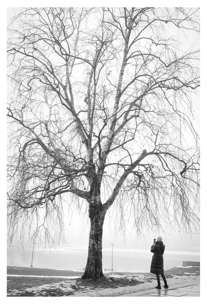 Photograph by Андрей Циликов