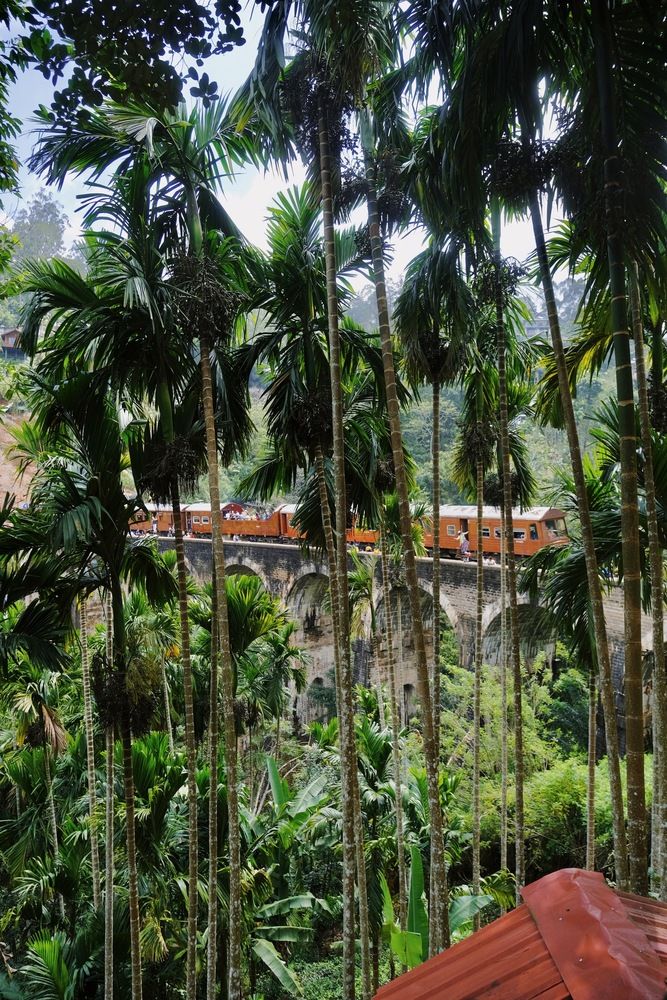 Photograph by Аида Фай