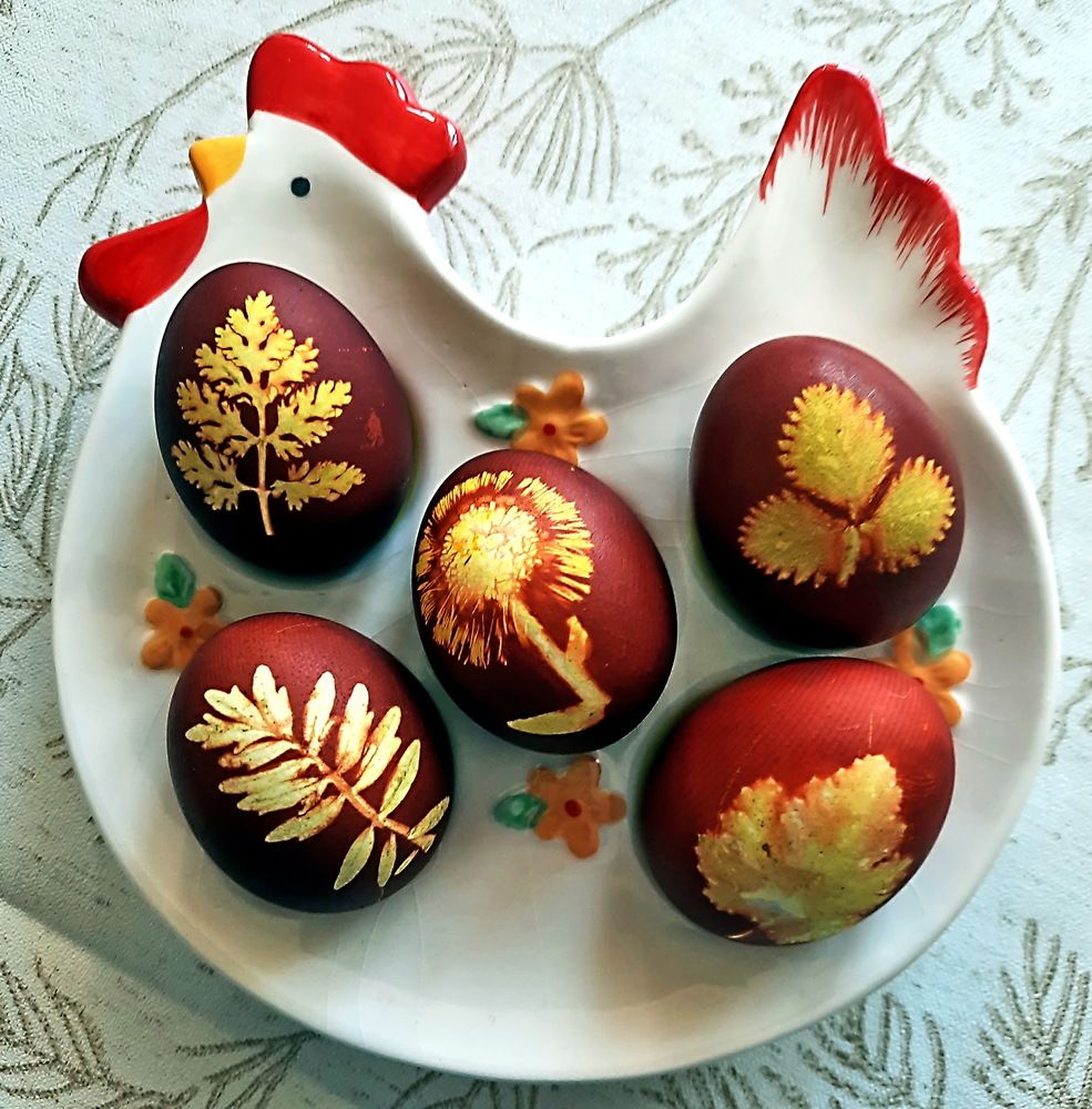 Photograph by Александр Лазебник