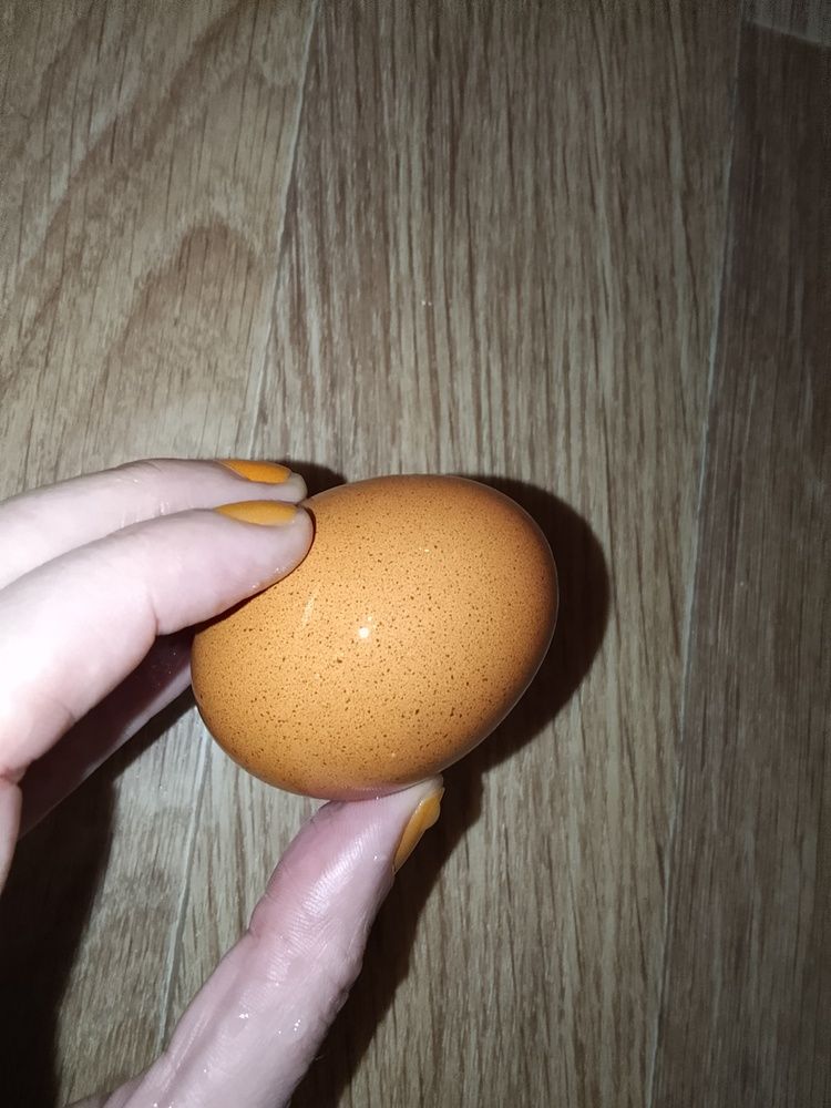 Фотография автора Irina Mihailovskaya