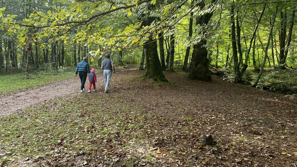 Photograph by Сергей Смирнов