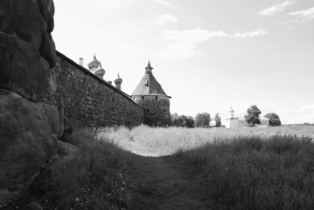 Photograph by Сергей Тимофеев