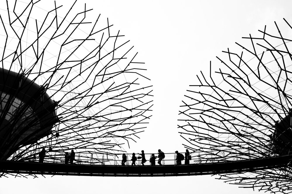 Photograph by Antonín Dudek