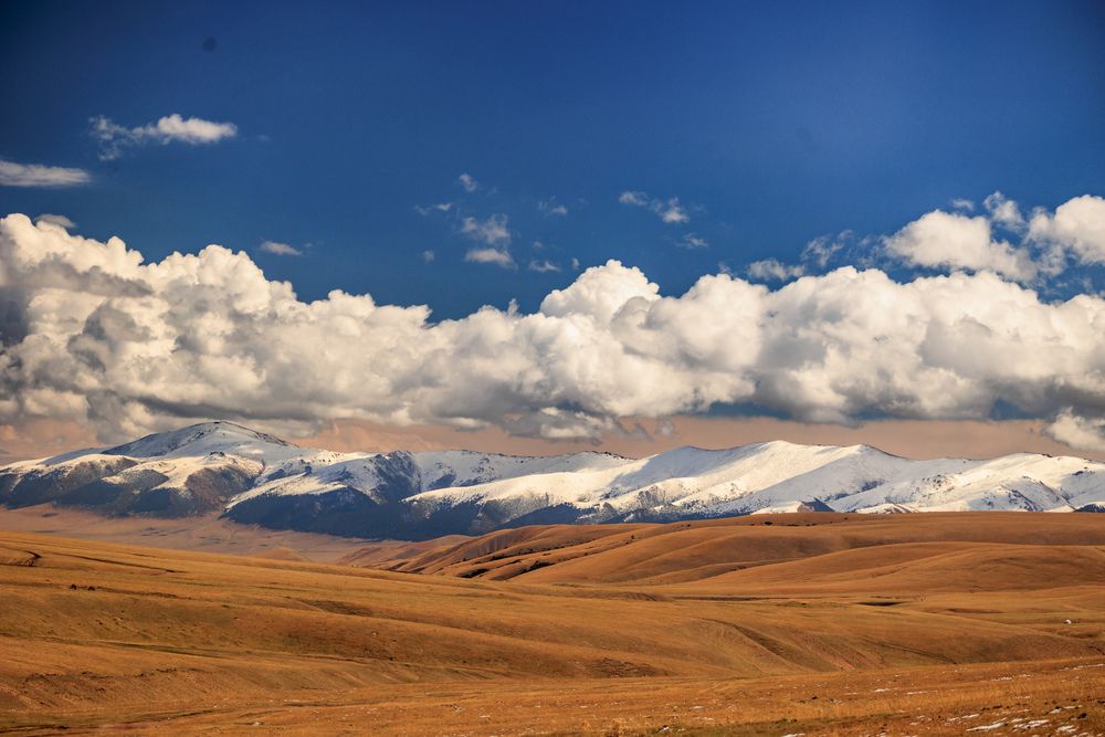 Фотография автора Юлия Мальнева