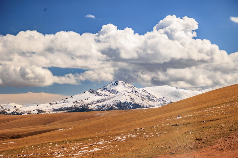 Фотография автора Юлия Мальнева