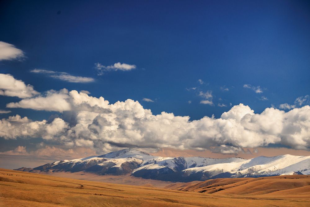 Фотография автора Юлия Мальнева