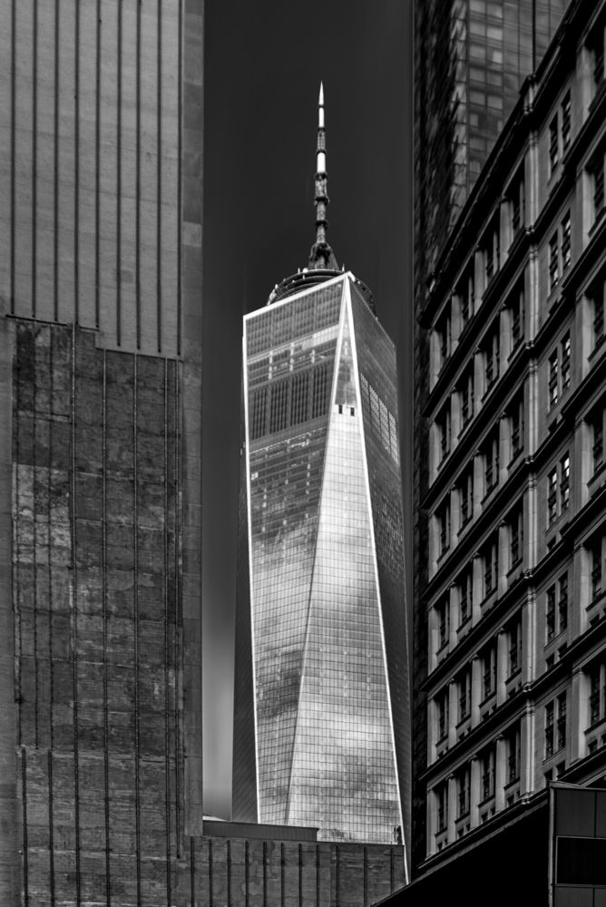 Photograph by Ovi D Pop