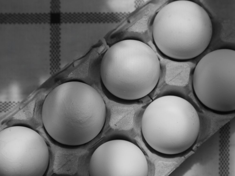 Photograph by Елена Меньшикова