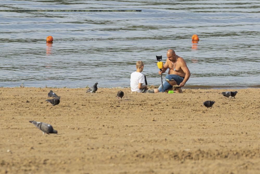 Искатели сокровищ