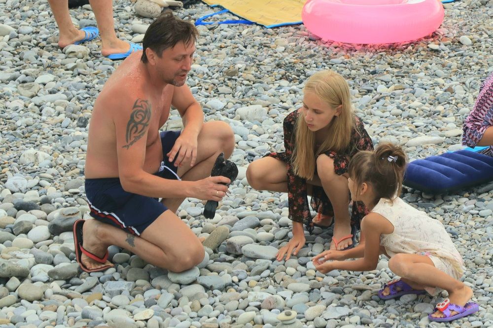 Уроки голубеведения