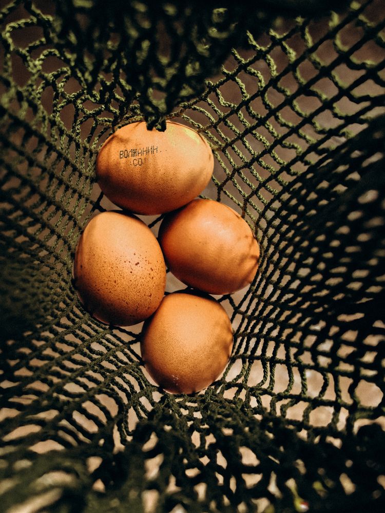 Фотография автора Анна Ворончихина