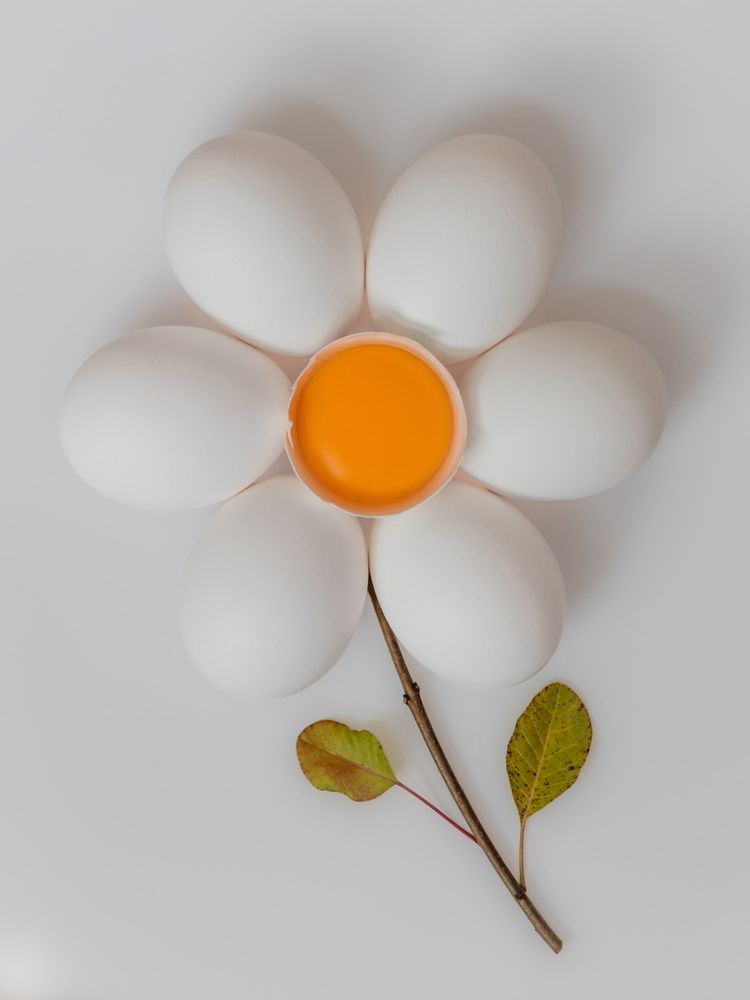 Photograph by Monika